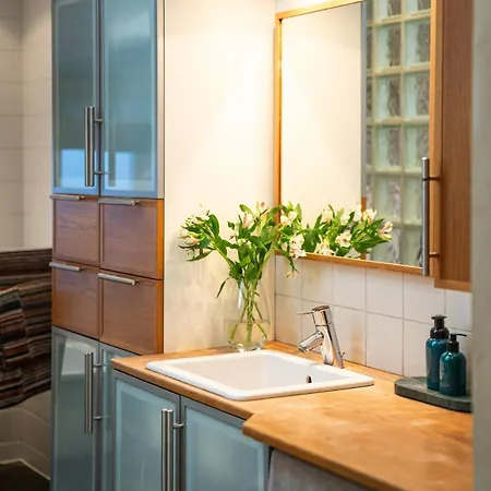 Apartman Cozy Downtown *